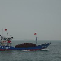 公安破獲一起非法采礦案,3人落網(wǎng)