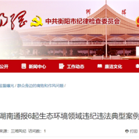 超時(shí)、超量、越界采砂！湖南通報(bào)6起生態(tài)環(huán)境領(lǐng)域違紀(jì)違法典型案例 2起與砂石有關(guān)！